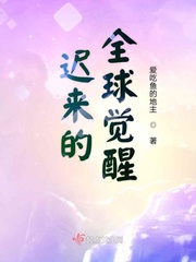 小说迟来的醒悟