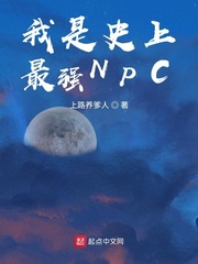 我是史上最强npc免费阅读全文