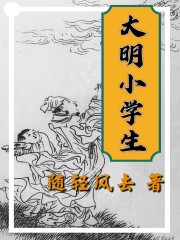 大明小学生小说免费阅读下载