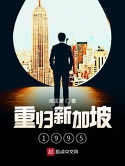 《重归新加坡1995》