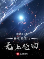 吞噬星空之无上轮回优书网